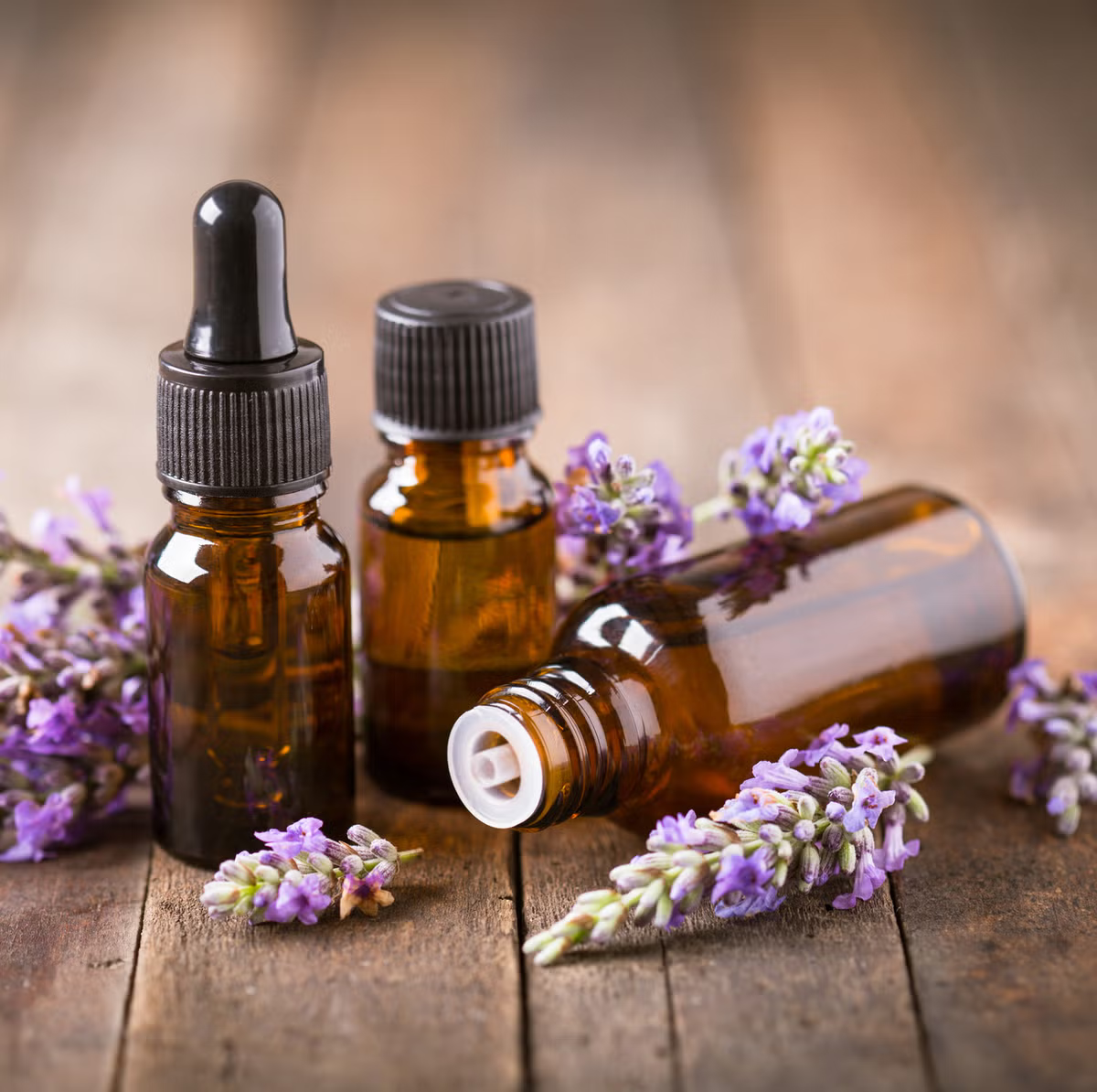 Lavender Essential Oil