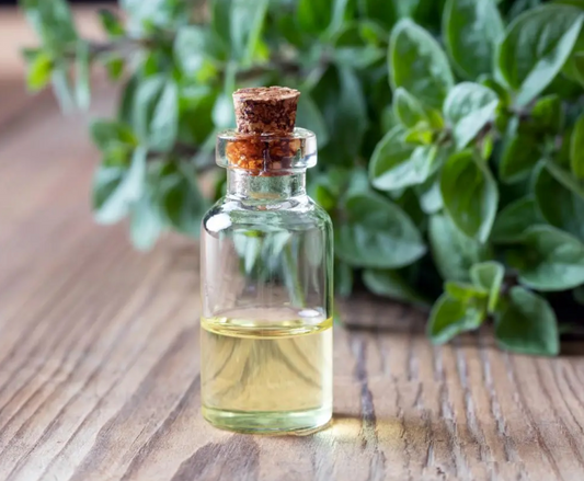 Sage Essential Oil